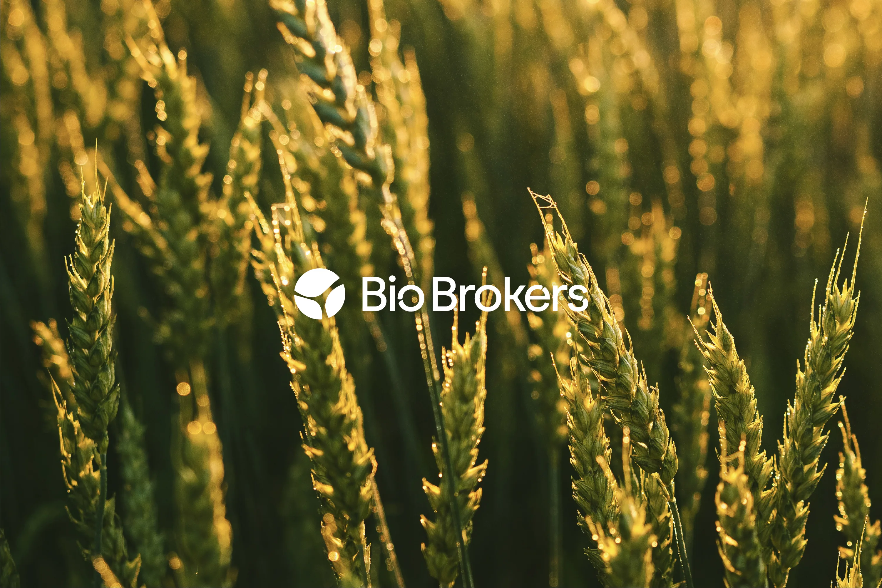 Biobrokers — identité de marque par mōhio