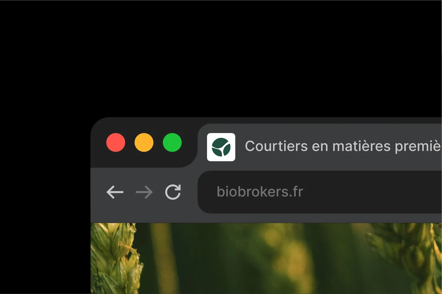 Mockup favicon