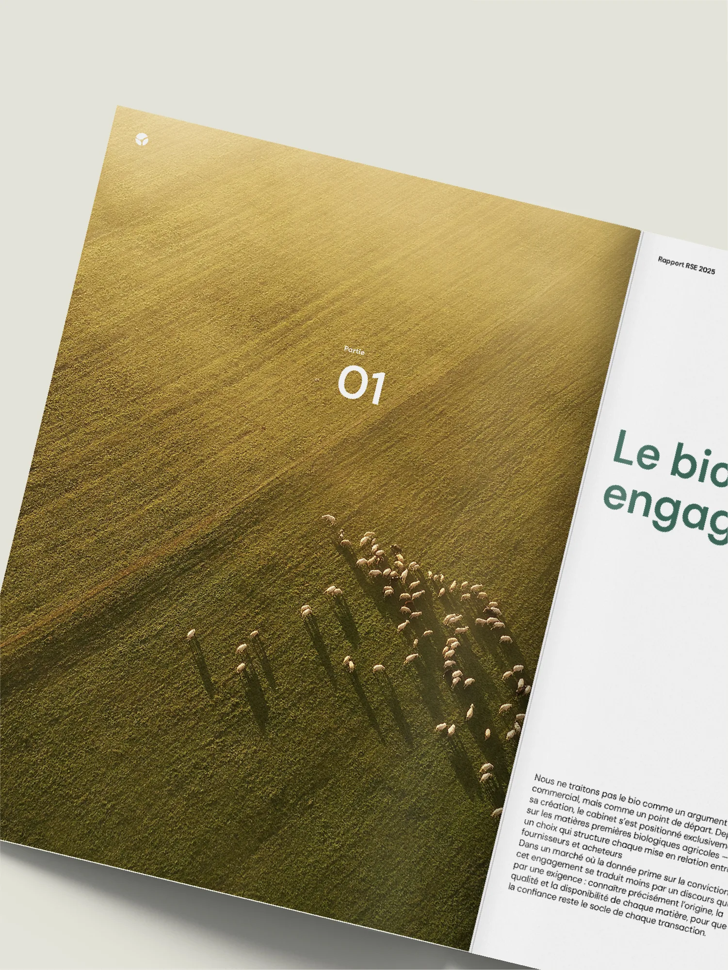 Mockup édition intérieur brochure