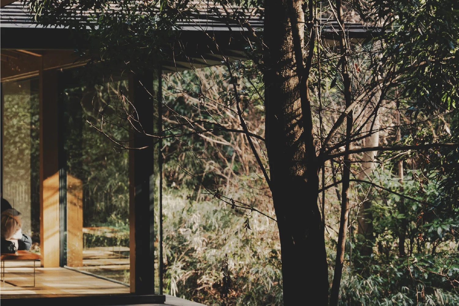 Photo inspiration jardin luxuriant