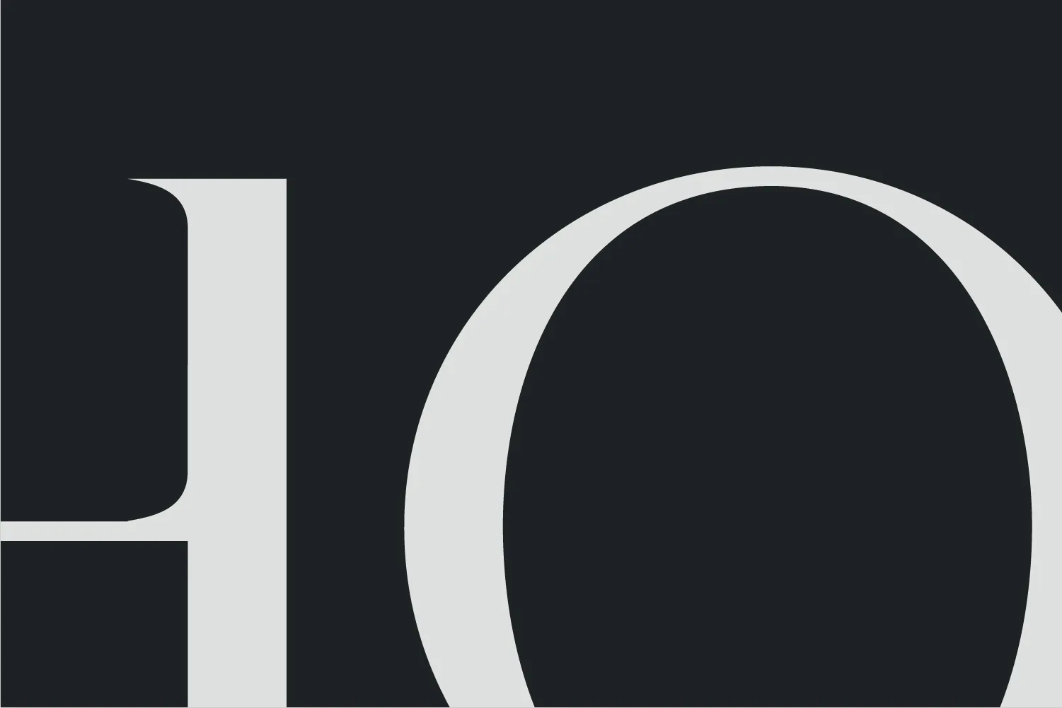 zoom sur la typographie du logo blanc sur noir