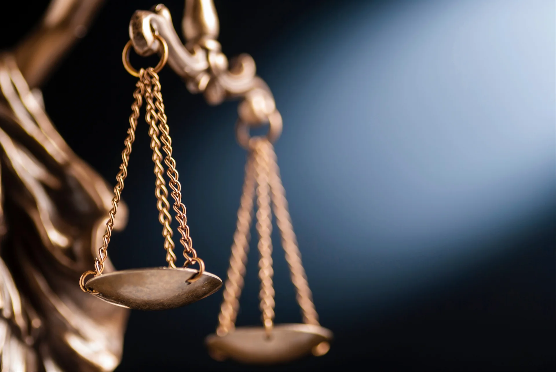 image illustration avocat